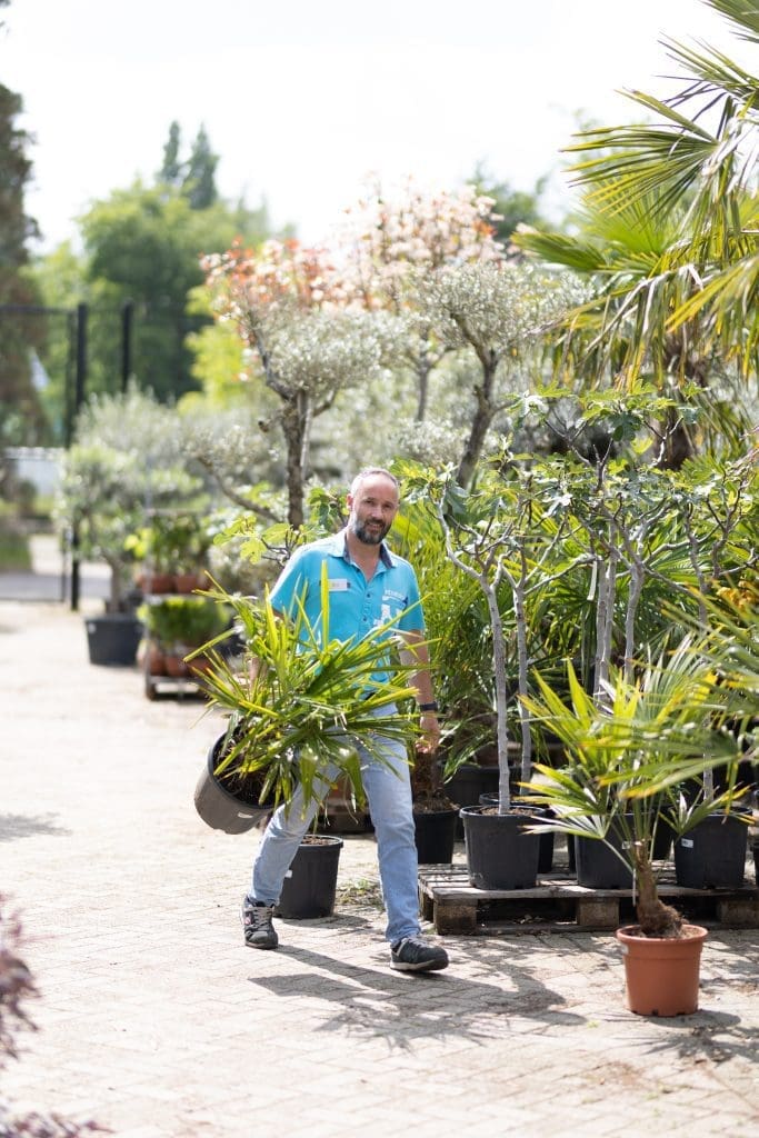 Intratuin Breda Buitenplanten afdeling met medewerker