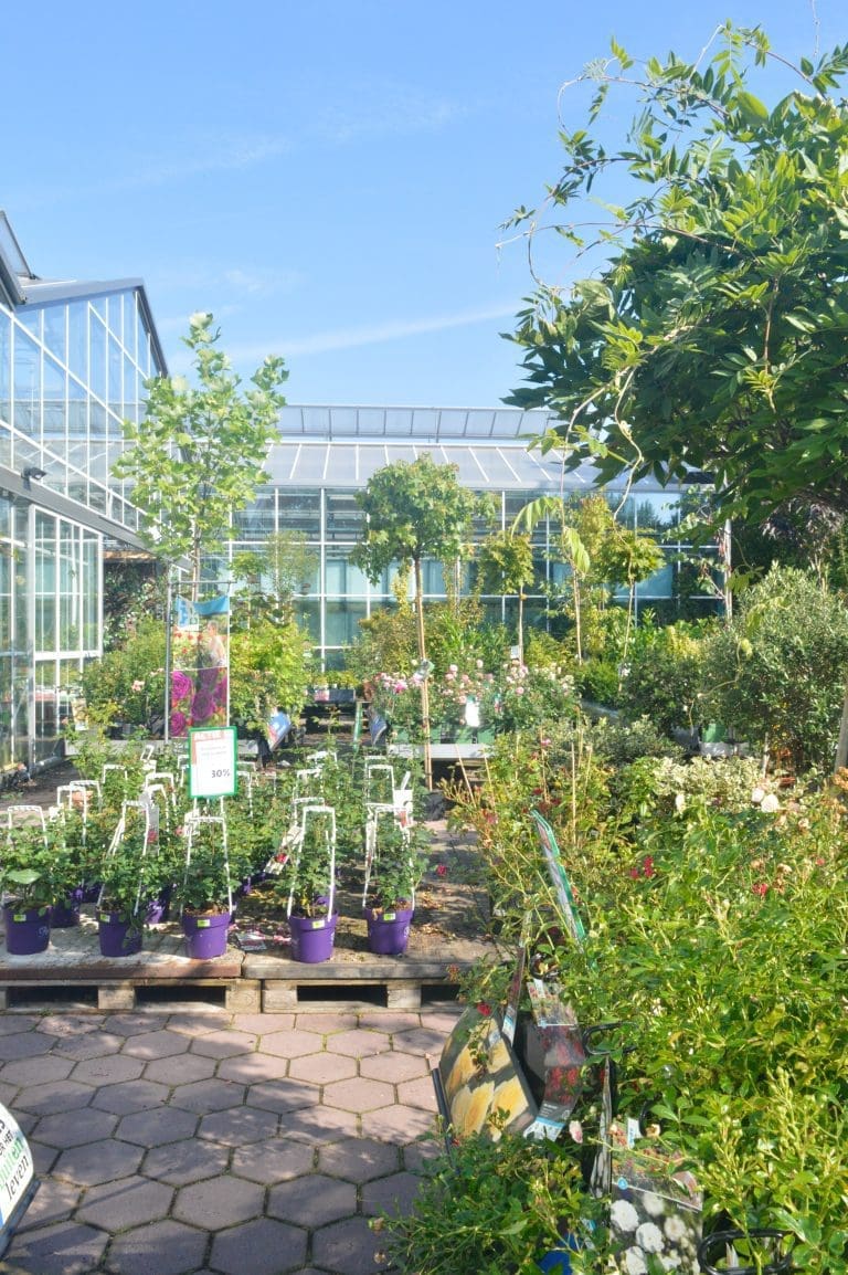 Intratuin Breda Vaste buitenplanten