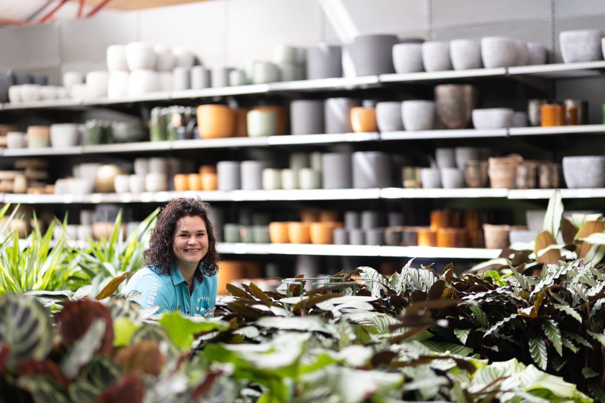 Intratuin Breda voor elke plant een mooie pot